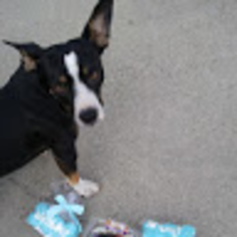 Meet your Posher, Marie